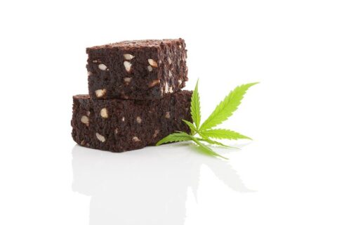 Mint Chip Brownie Cannabis